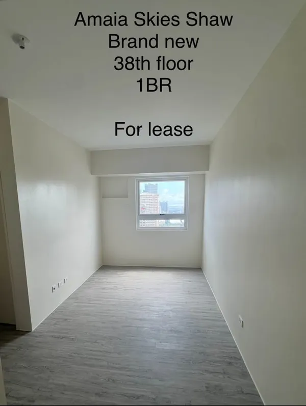1BR Brand New Unit (Bare or Semi-furnished), 1BR Brand New Unit, for rent located at Mandaluyong City National Capital Region (NCR) 