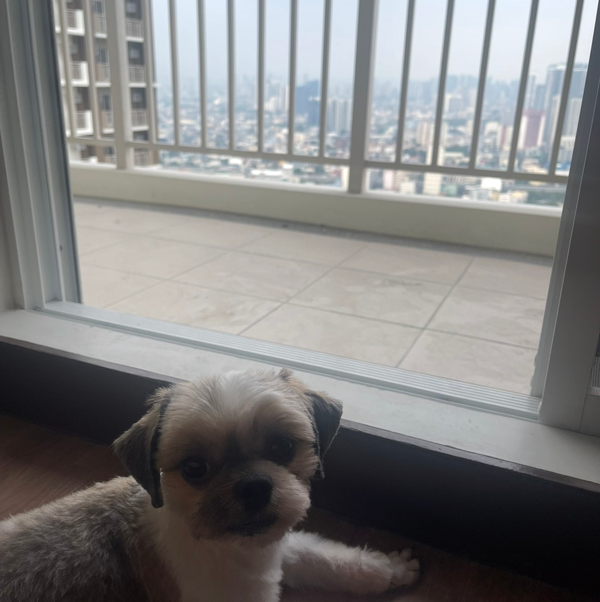 Condominium In Pasay City Metro Manila, Condominium In Pasay City Metro Manila, for rent located at Pasay City Metro Manila 