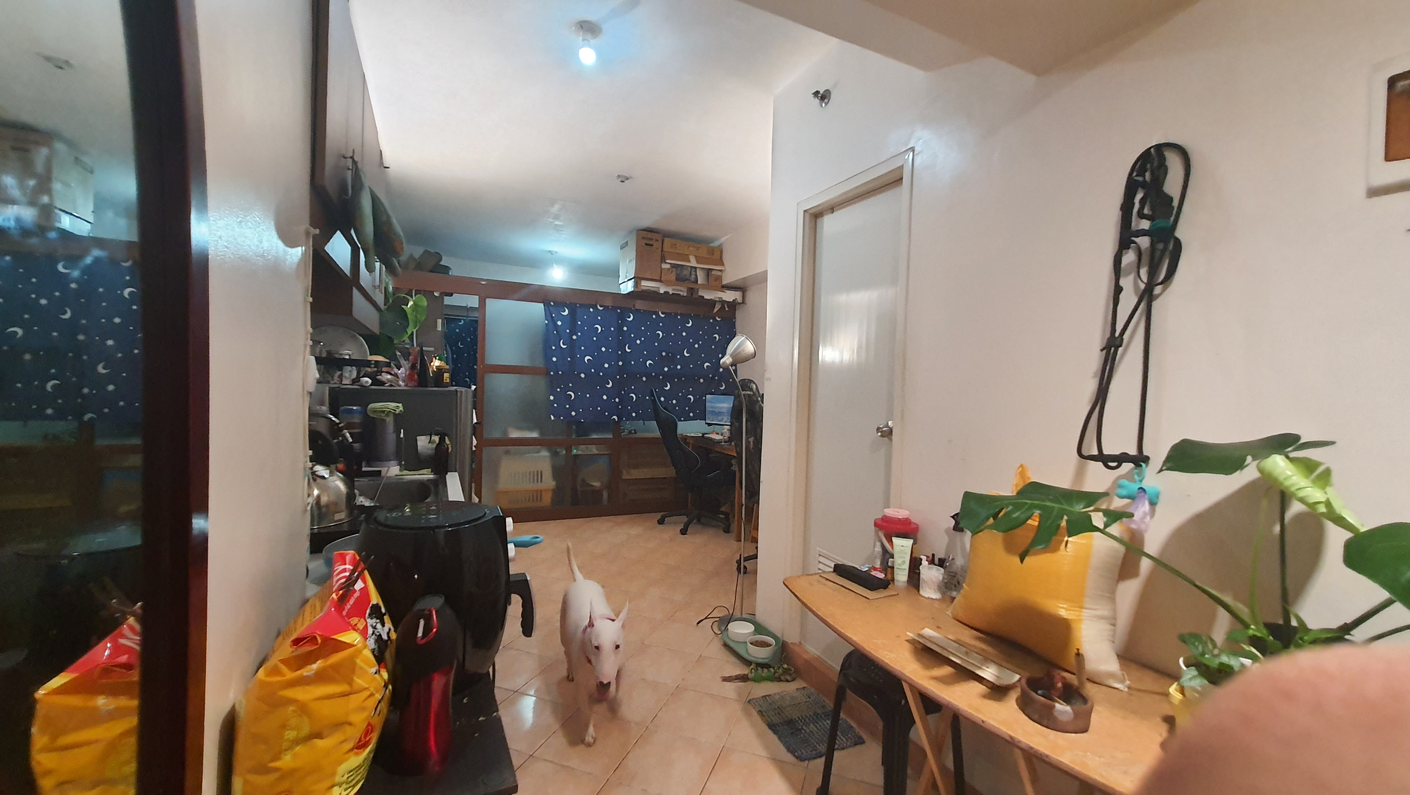 dormyph for rent