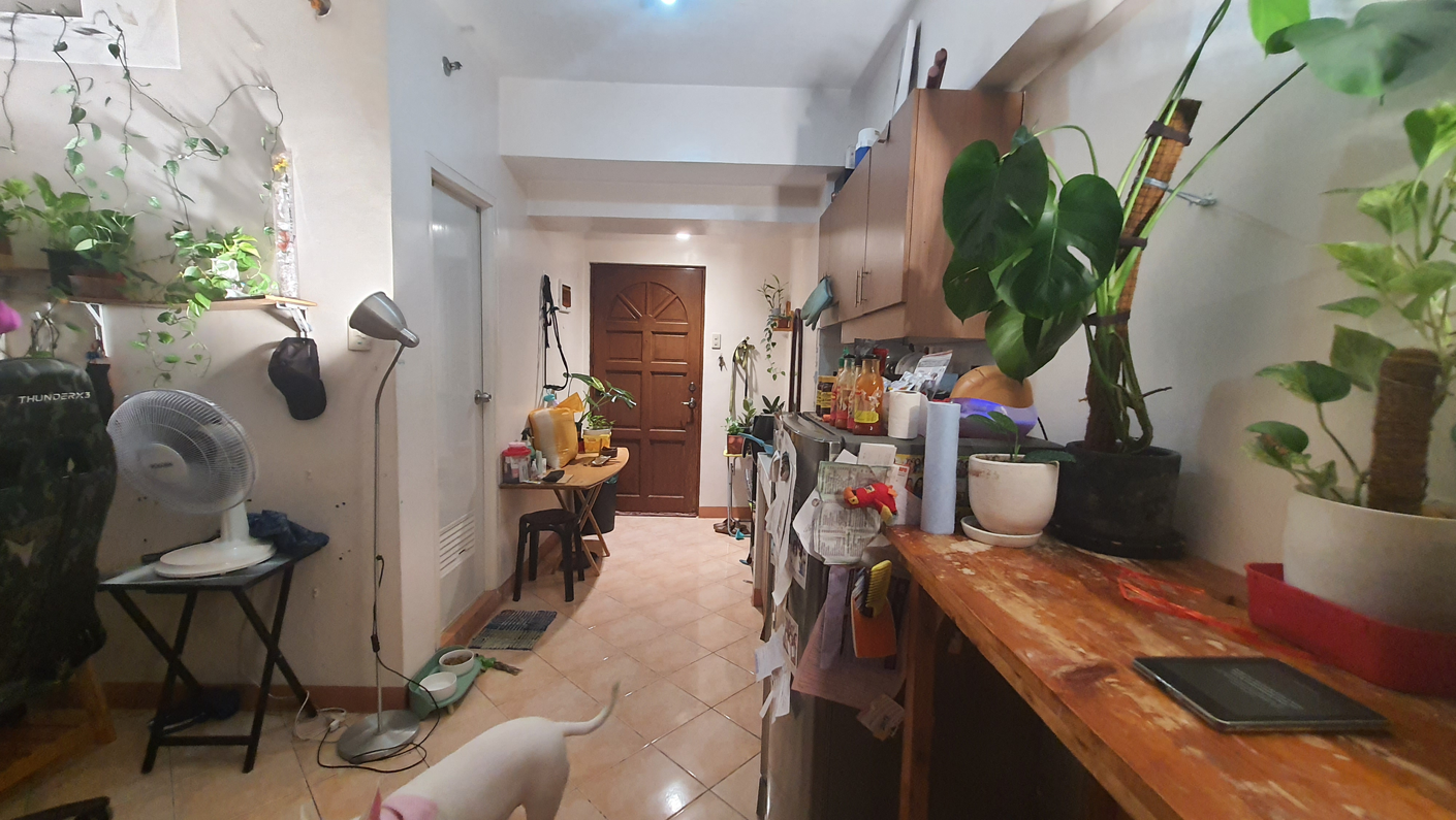 dormyph for rent