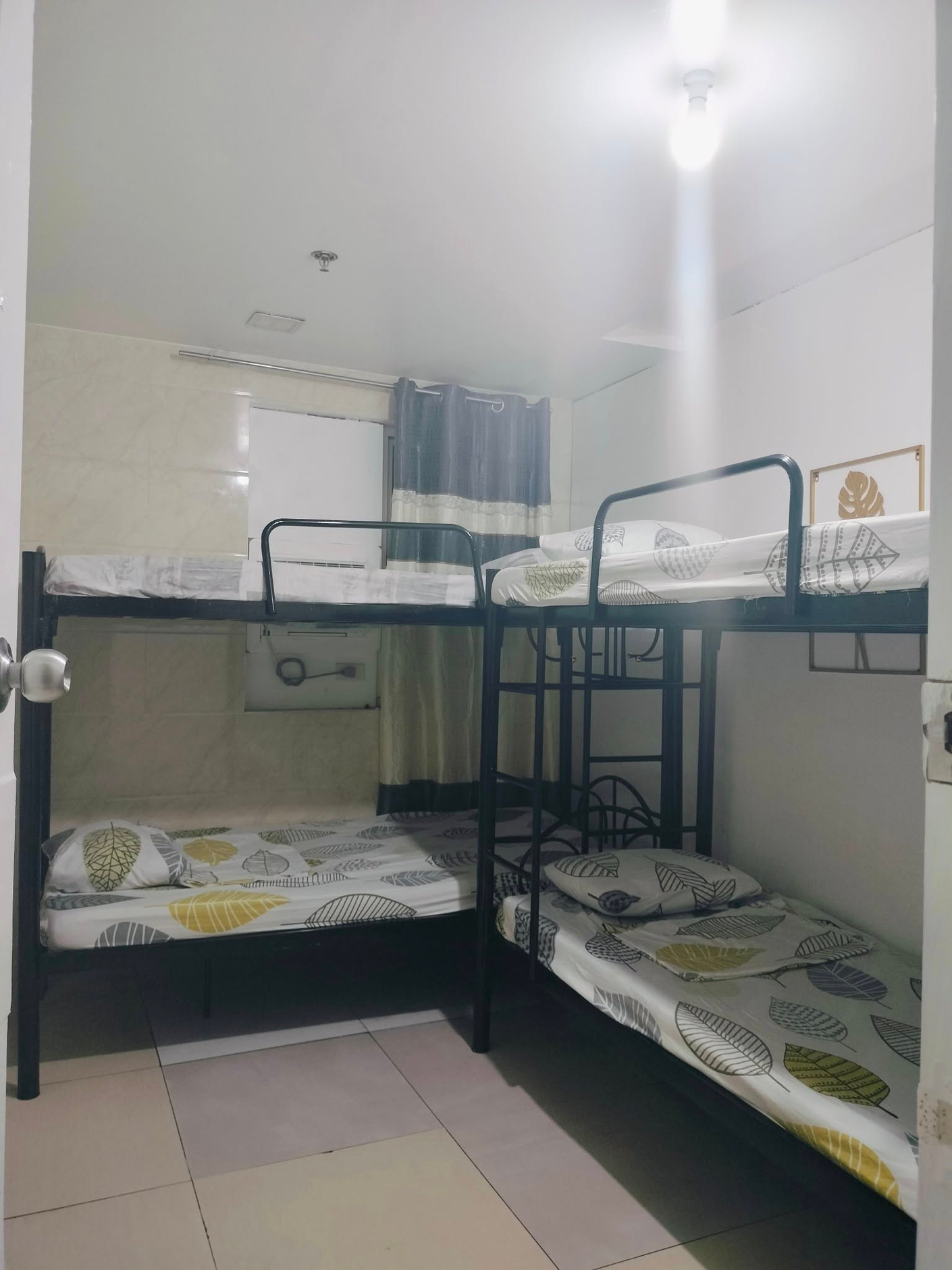 dormyph for rent