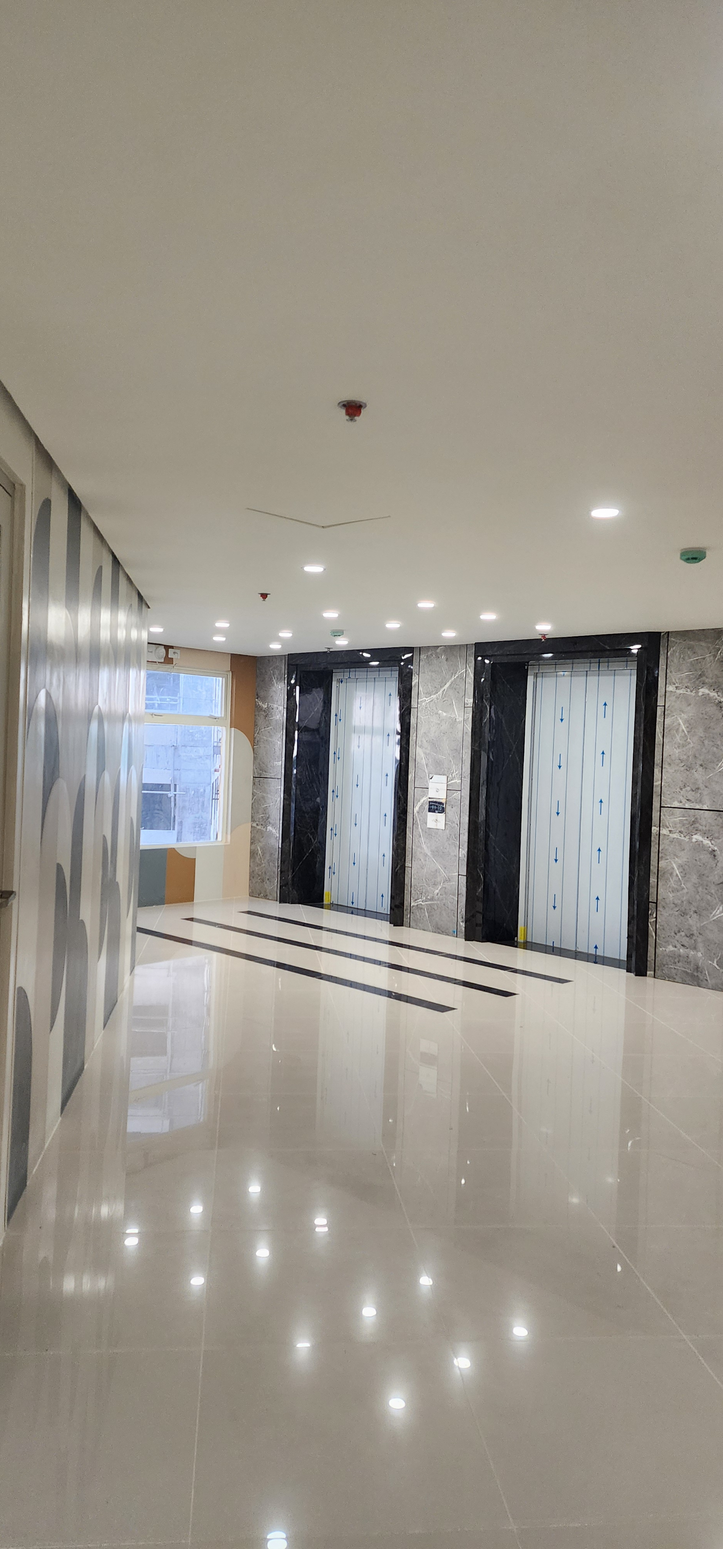 dormyph for rent
