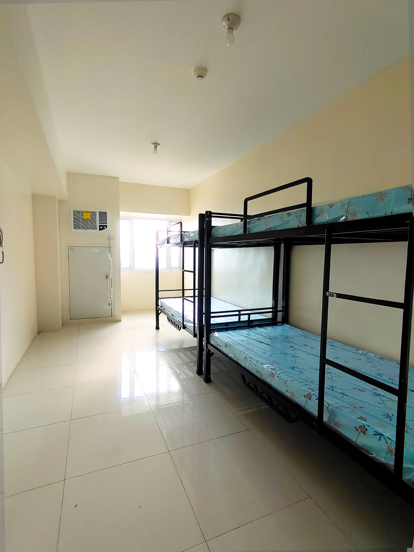 dormyph for rent
