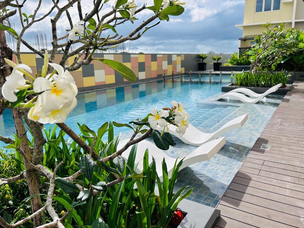 dormyph for rent