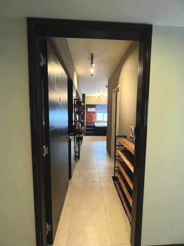 Condo Near UP Fully Furnished