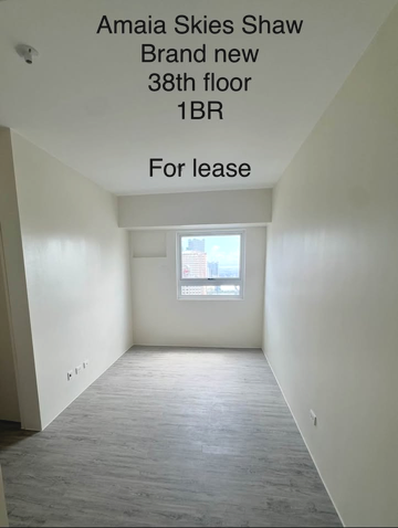 1BR Brand New Unit (Bare or Semi-furnished)