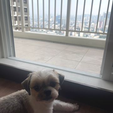 Condominium In Pasay City Metro Manila